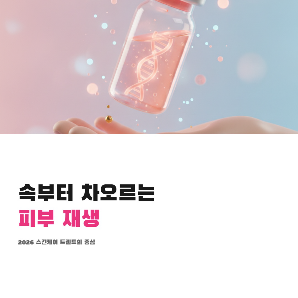 제주리쥬란 속부터 차오르는 피부재생